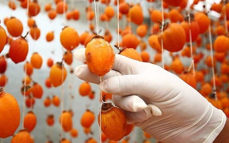 Dried persimmons offer unexpected health benefits