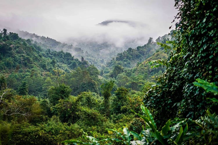 Pristine landscapes at Nam Et-Phou Louey National Park