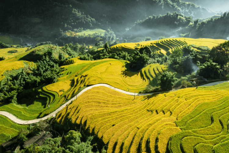 AMAZING SAPA – HANOI – LANG SON