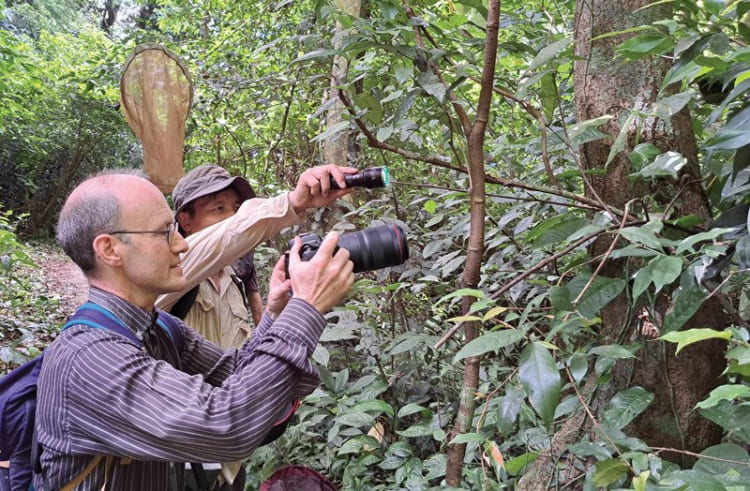 Bird watching at Cuc Phuong National Park