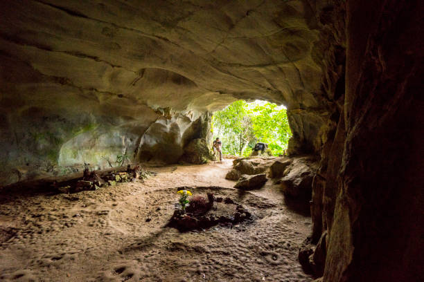 the cave in Cuc Phuong National Park