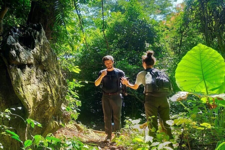 hiking at Cuc Phuong National Park