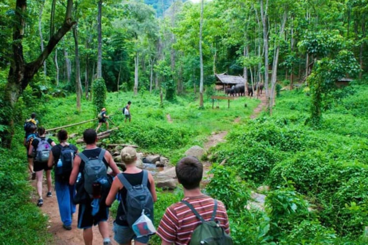 Tourists trekking and exploring Cuc Phuong National Park