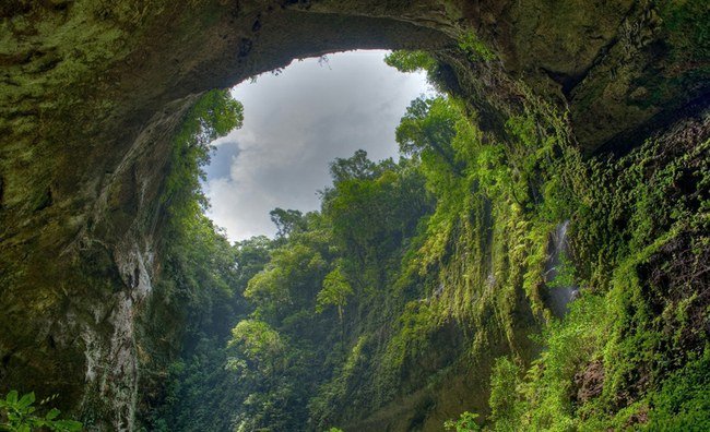 son doong cave ecosystem