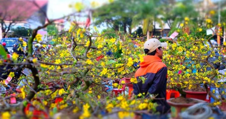 Busy locals getting a glimpse at the flowers to buy for decoration of their home on Lunar New Year in Ho Chi Minh City, Vietnam.