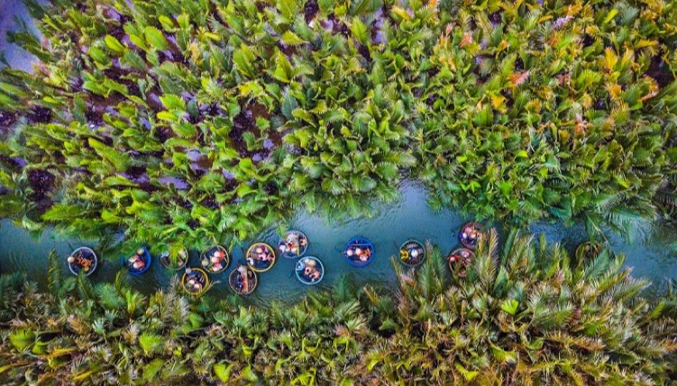 The best time to visit the coconut forest is from February to September