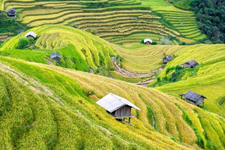 Majestic Northern Vietnam Tour: Hanoi to Halong & Beyond