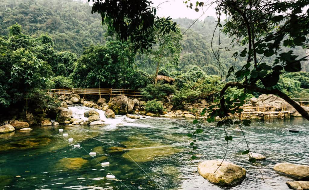 Phong Nha-Ke Bang National Park: Overview & Top Things to Do｜