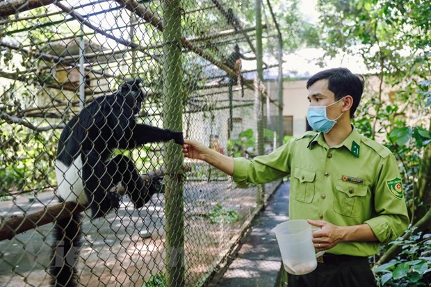 Wildlife in vietnam