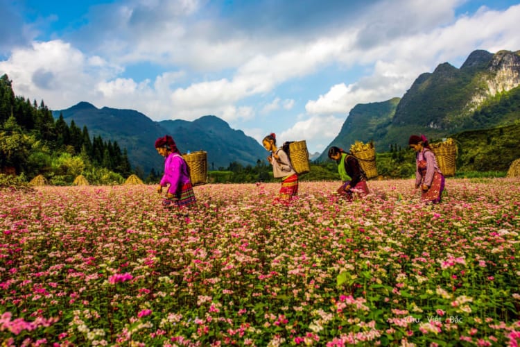 Ha Giang Tourism