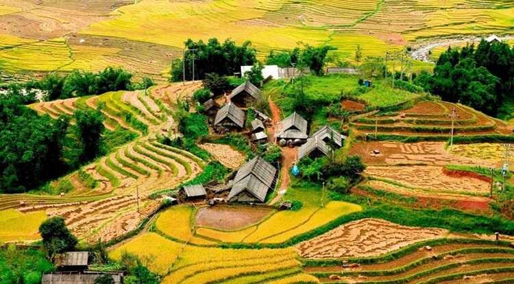 Endless rice terraces adorning the landscape