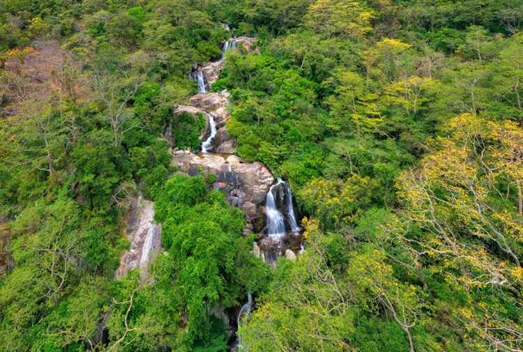 Nui Chua National Park boasts towering mountains, hidden forest streams, and curiously shaped rocks.