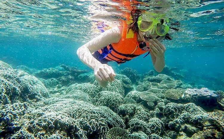 The clear blue water reveals a mesmerizing display of hundreds of coral formations, each a unique masterpiece teeming with life.