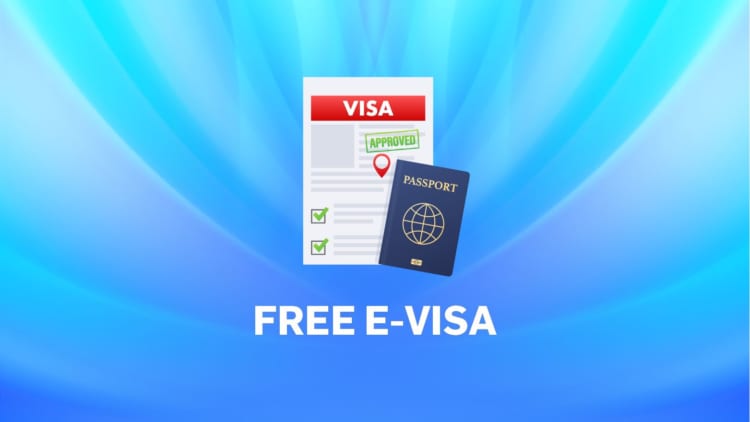 Save your time and money with our E-Visa assistance