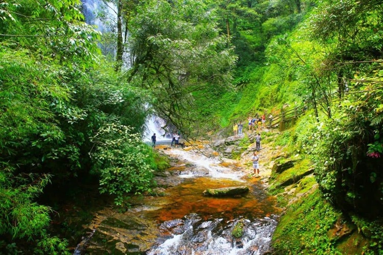 The Untouched Beauty of Phu Quoc National Park