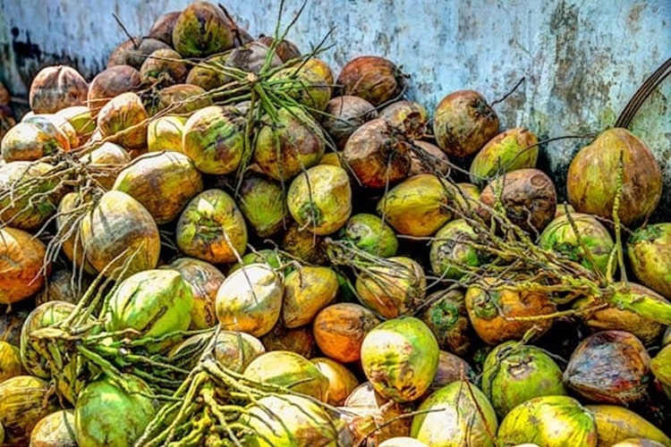 Ben Tre Province - A Coconut Capital in Vietnam