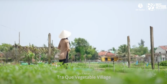 Tra Que Vegetable Village - A representative from Vietnam