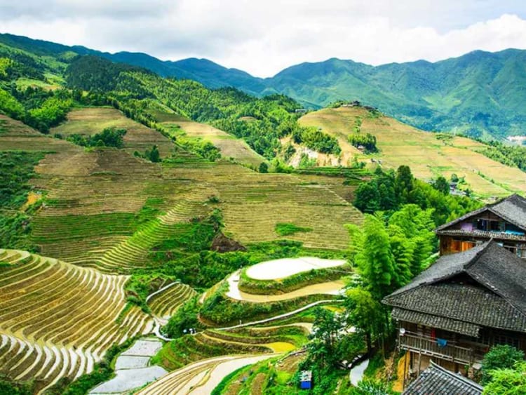 Breathtaking beauty of Muong Hoa Valley, Sapa Vietnam