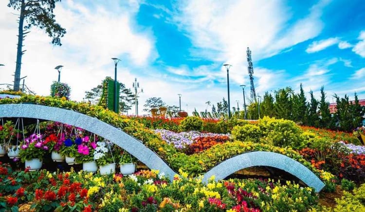 Dalat Flower Festival 2024