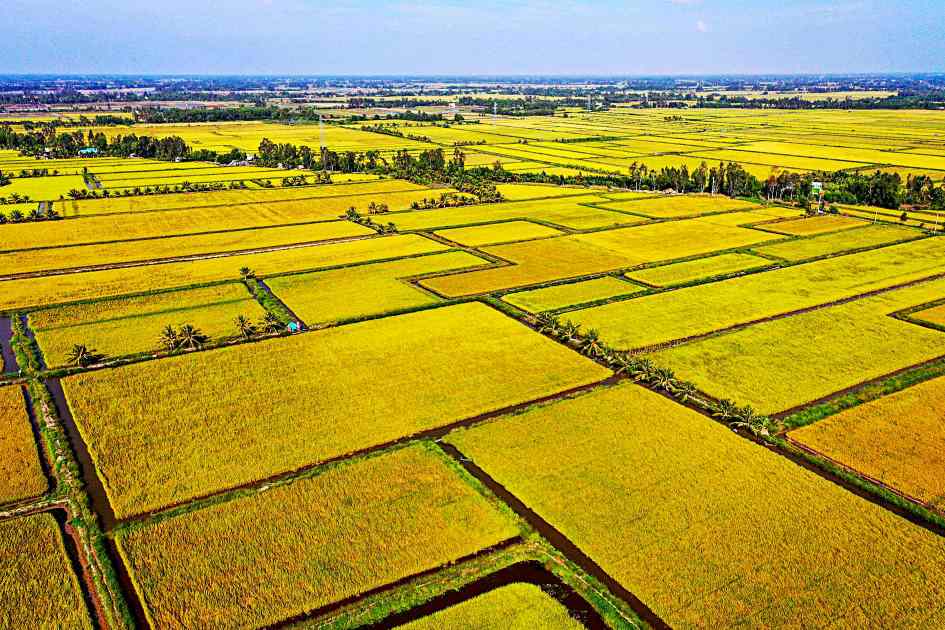 Vietnam Rice Terraces: A Journey Through Nature’s Masterpiece|