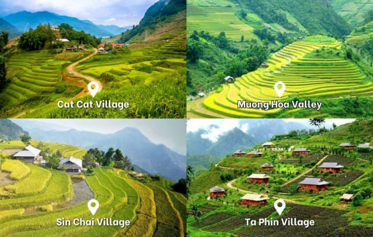 Golden rice terraces in Sapa, Vietnam