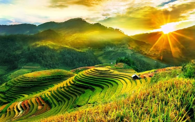 Rice terraces at Mu Cang Chai