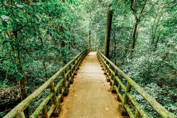 Cuc Phuong National Park - One of Vietnam Nature Reserves