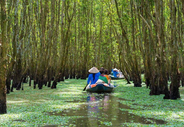 lush waterways of the Mekong Delta Vietnam