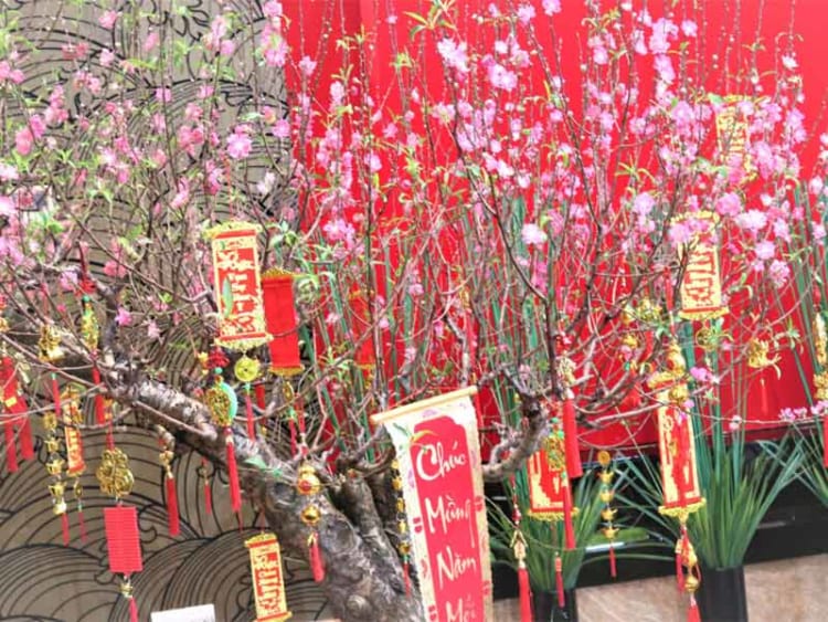 Peach blossoms are traditional decorations in vietnamese new year