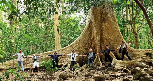 A group of visitors enjoy trekking at Cat Tien National Park