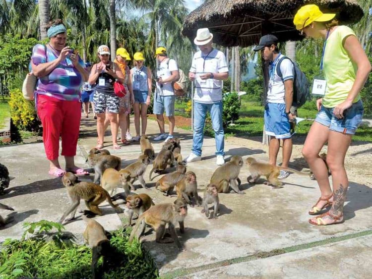 Hon Lao offers tourists interaction with friendly monkeys