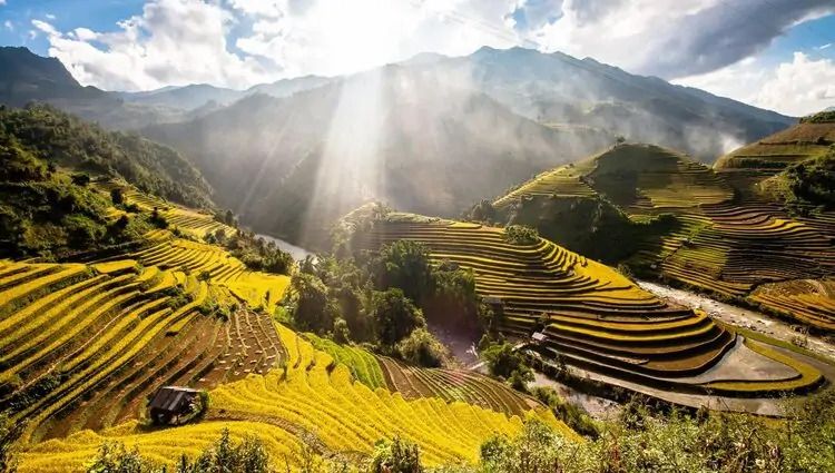 Mu Cang Chai’s peak season is also in the rainy season!