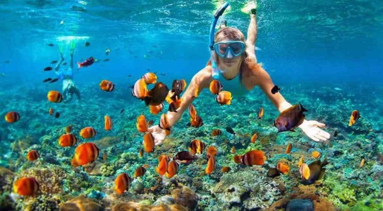 Snorkeling at Con Dao