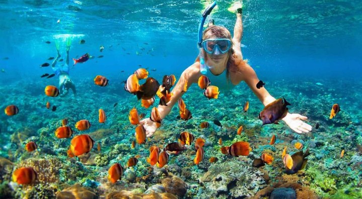 Snorkeling at Phu Quoc Island