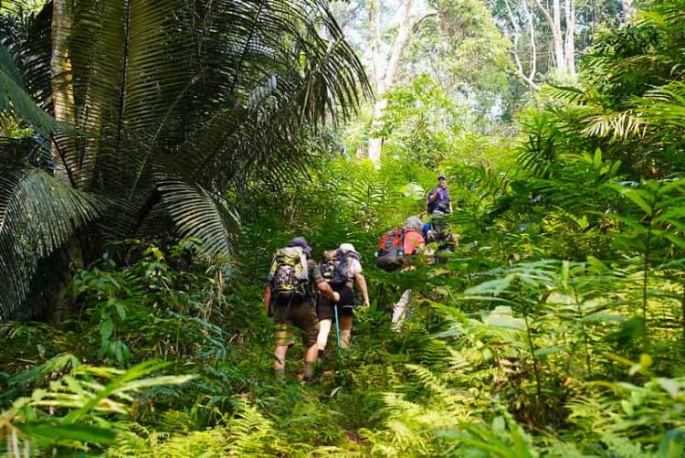 Trekking at Ba Be National Park