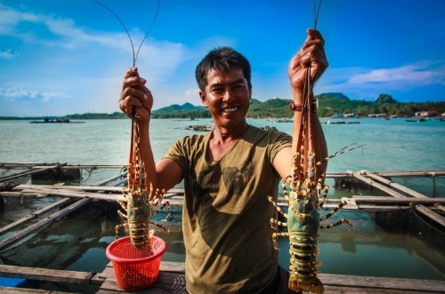 Try catching lobsters with the locals and enjoy the freshest seafoods