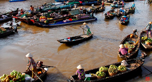 Phong Dien Floating Market.