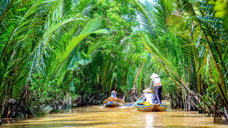 Mekong Colors: Ho Chi Minh – Dong Thap – Can Tho